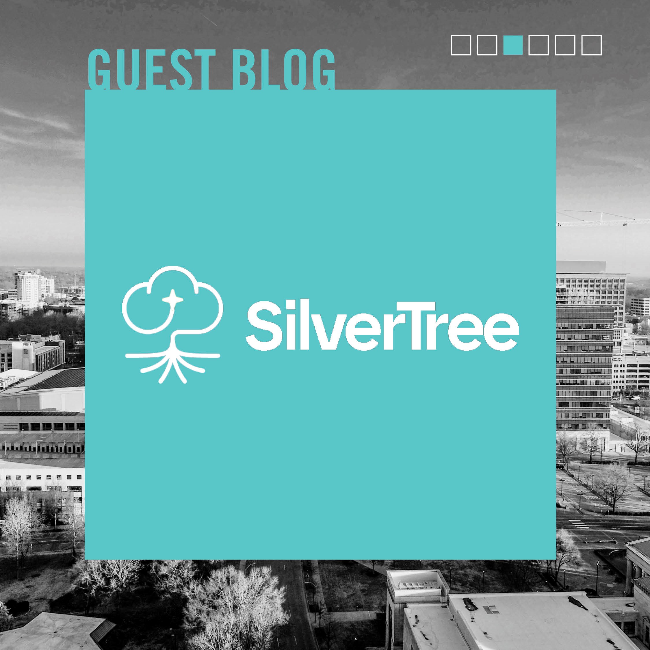 Silver Tree Guest Blog