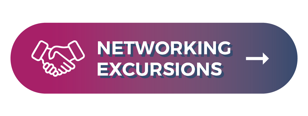 Networking Excursions Button