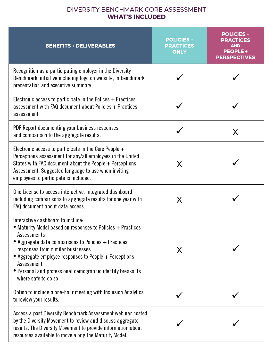 Diversity-Benchmark-Core-Assessment---Whats-Included-Graphic.png