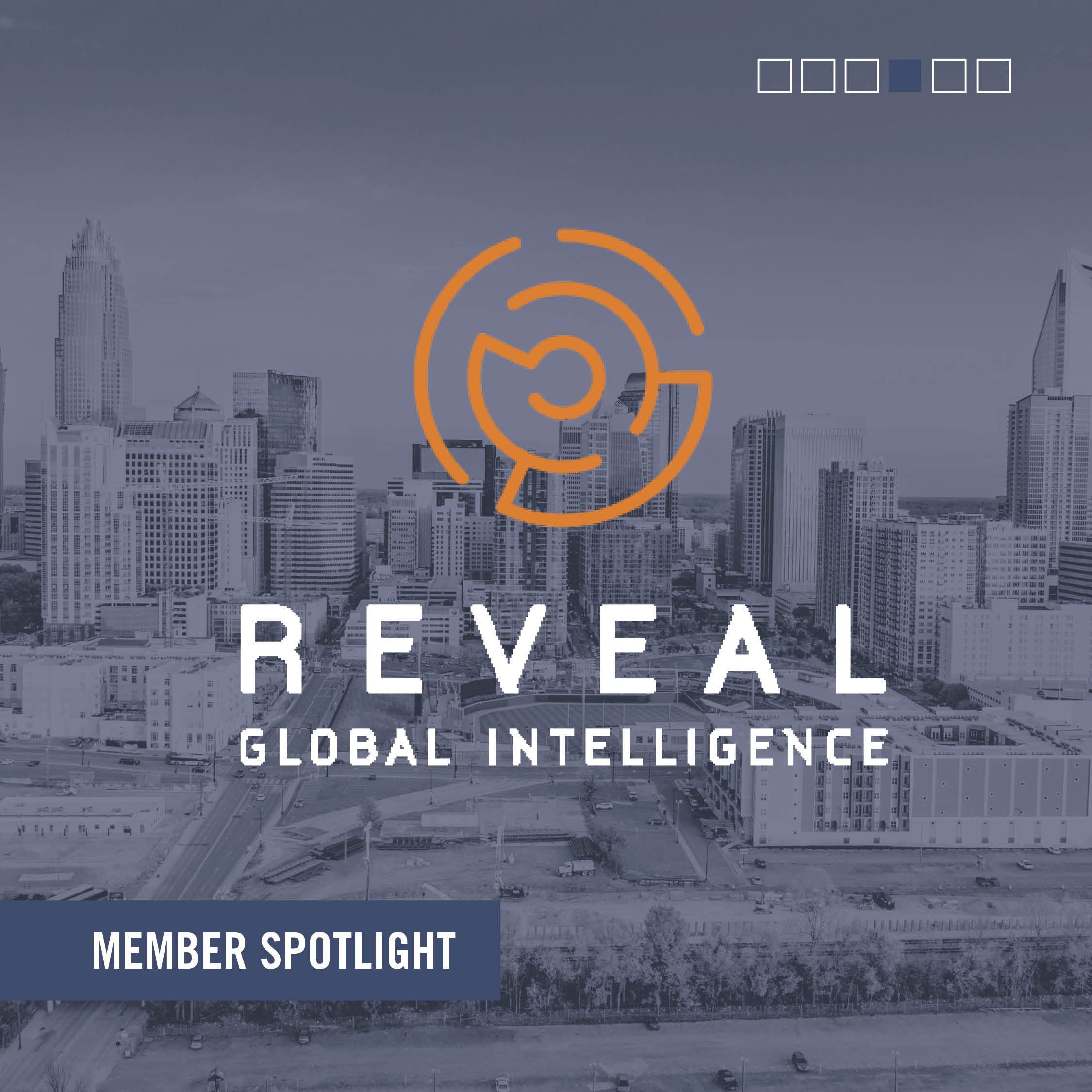 Reveal Global Intelligence